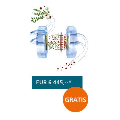 Inline-Dialyse